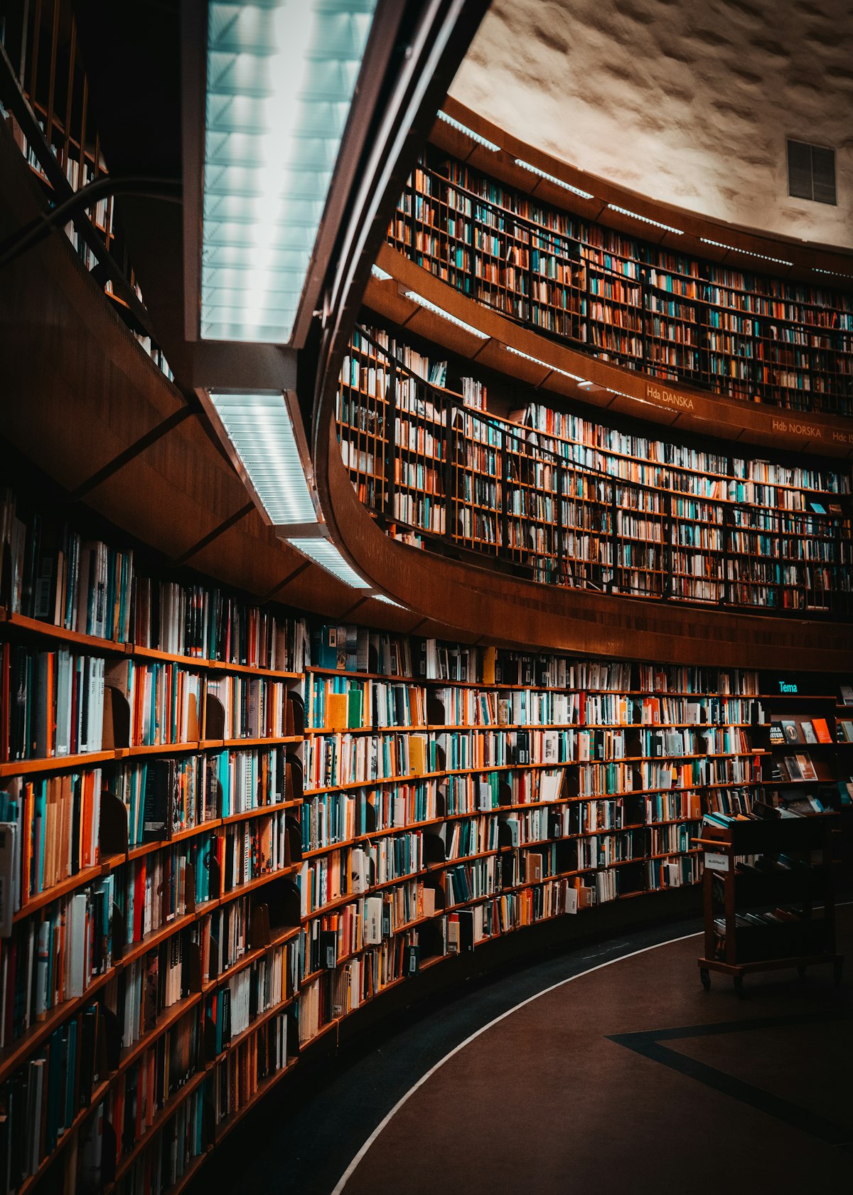 Organized library bookshelves